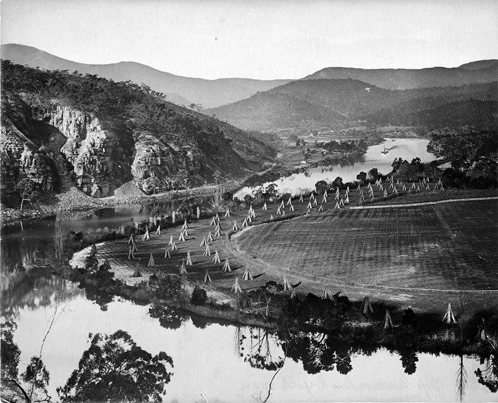 Taken less than five miles downriver from the 1836 grid, this photograph frames a harmonic interaction of settlement, agriculture, and geography on the lowlands along the Derwent River. John Beattie, Hop Garden, New Norfolk, 1895–98. Albumen print. Collection of the Art Gallery of New South Wales, Sydney. Accession number 202.1989.